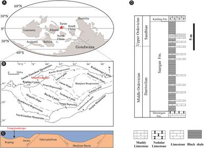 Coastal upwelling and redox variations in the northwestern Tarim Basin (northwest China) during the Middle-Late Ordovician: implication for paleo-depositional conditions of the organic matter enrichment in the Saergan Formation